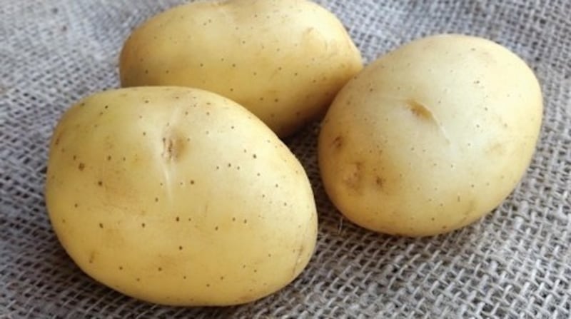 Who doesn’t love the taste of homegrown potatoes?