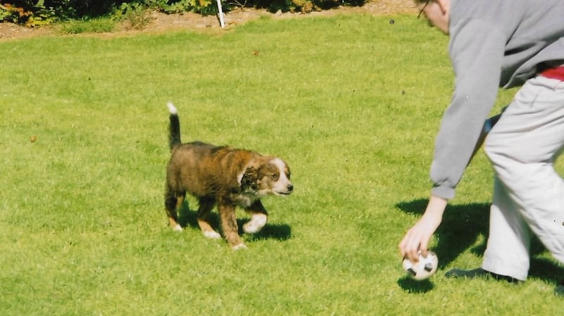 Gypsy in her younger years