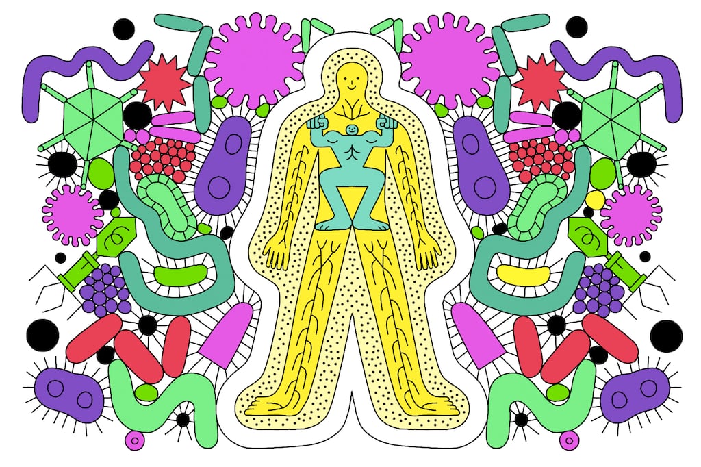 The turn of autumn signals another new beginning: the start of flu and cold season, and the third Covid winter. Photograph: Cristina Spanñ/The New York Times