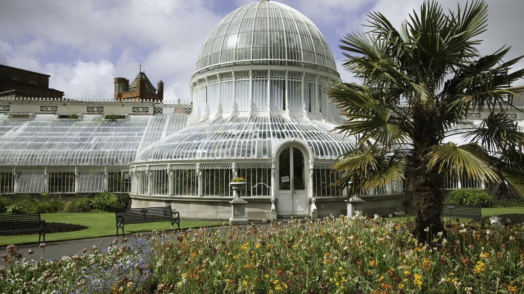We would get to the Botanic Gardens and then scamper through the Palm House until finally we reached the Tropical Ravine. Photograph: Getty Images