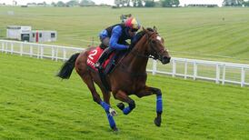 Irish Derby on the radar for Epsom disappointment Arrest