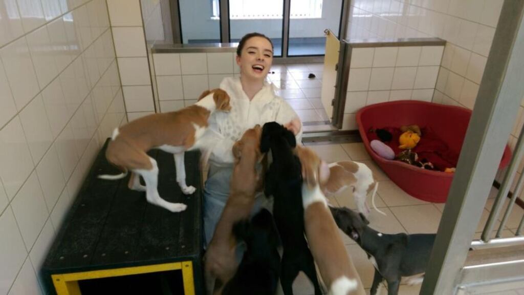 Laura Kennedy makes friends at the Dogs Trust