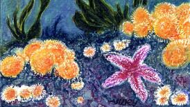 How can Ireland restore its lost realms under the sea?