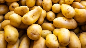Hot potato: Is the common spud’s bad rap deserved?