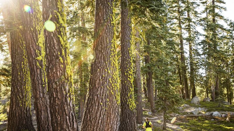 Courtney Dewaulter at about mile 45 of the Tahoe 200 ultramarathon, in Tahoe City, California,