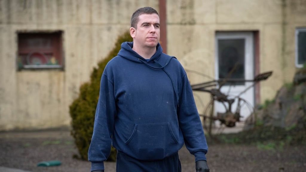 Pig farmer Shane McAuliffe on his land in Castleisland, Co Kerry: ‘Everything that could go wrong is going wrong.’ Photograph: Domnick Walsh/Eye Focus Ltd