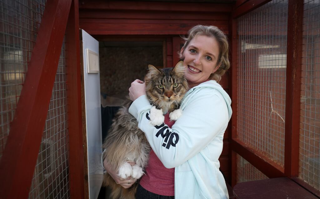Emma Martin, a former veterinary nurse, who now owns and runs Emmadale Cattery in Suncroft, Co Kildare. Photograph: Laura Hutton