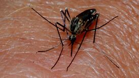 ‘Nothing to hide’ in decision not to publish Lariam report