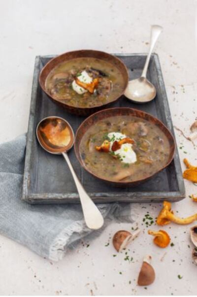 Wild Mushroom Soup