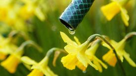 Water conservation Q&A: Are we back to a hosepipe ban?