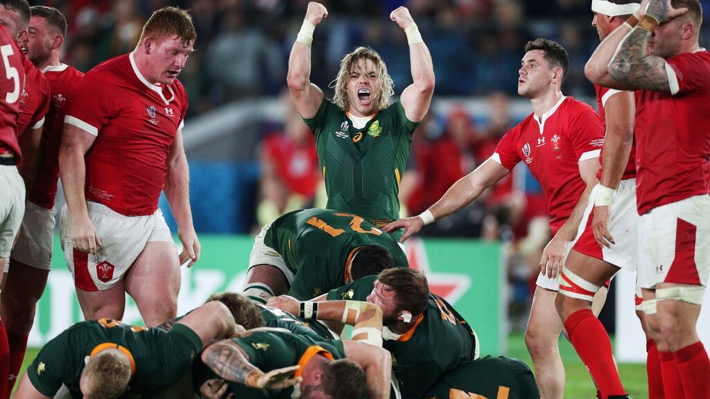 Faf de Klerk of South Africa celebrates his side winning a penalty to secure victory over Wales during the Rugby World Cup  semi-final  at International Stadium Yokohama on Sunday. Photograph: Craig Mercer/MB Media/Getty Images