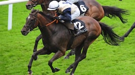 Pacific Heights looks the pick in Ahonoora Handicap at Galway