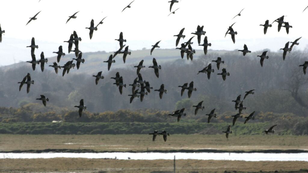 grianghraf cyril byrne/the irish times