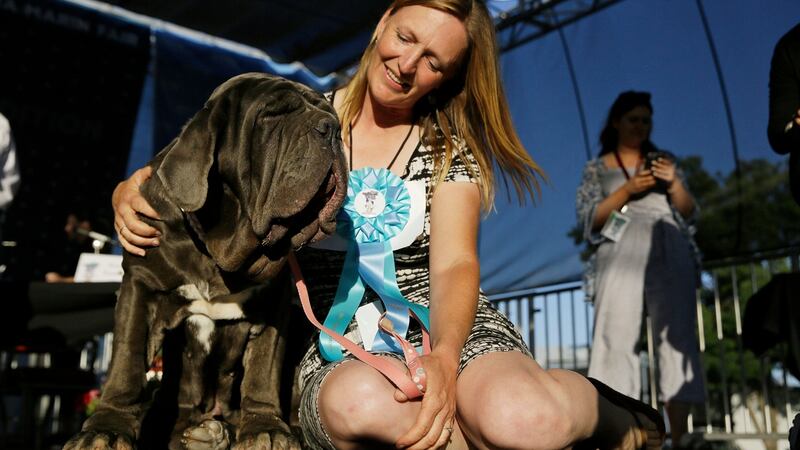Shirley Zindler sits with her dog Martha. Photograph:Eric Risberg/AP