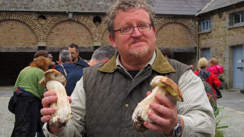 Bill O’Dea with two Ceps, a Bolete often nicknamed ‘penny bun’, and also known as porcini in Italian. Photograph: Michael Lemass
