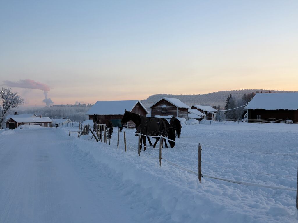District heating systems such as those used in Denmark utilse heat that would otherwise be lost and contribute to reducing greenhouse gas emissions by centralising heat production