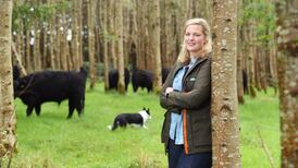Cavan farmer focused on improving soil health and increasing nutrition for cattle