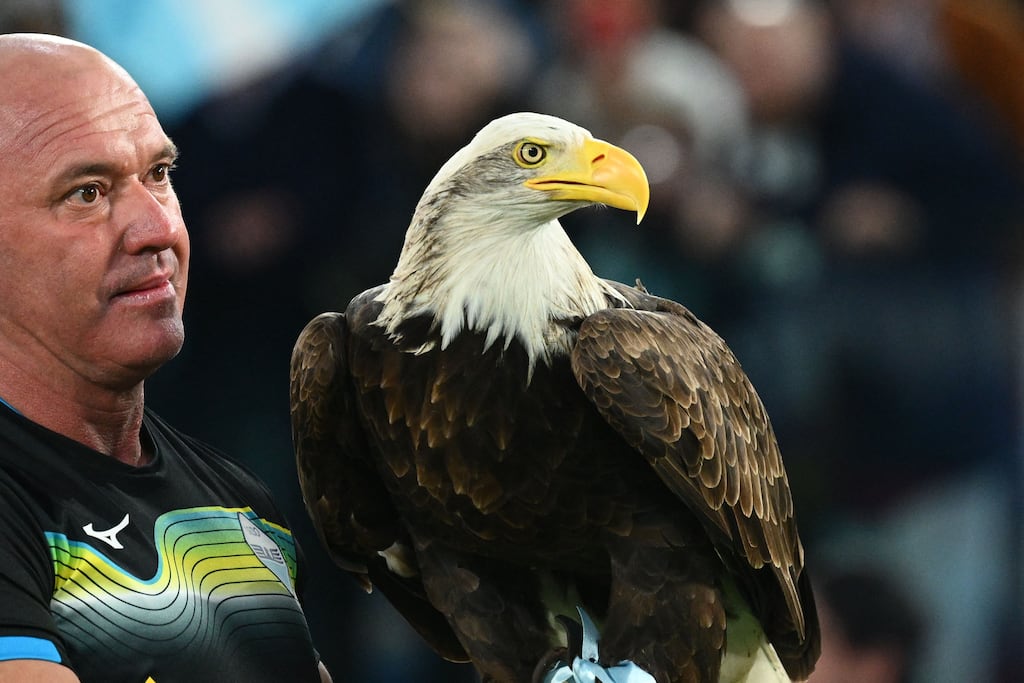 Falconer Jose Maria Bernabe holds Lazio's eagle mascot prior to an Italian Serie A match at the Olympic stadium in Rome. Photograph: Vincenzo Pinto /AFP via Getty Images