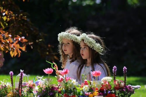 Refugee crisis and Rising centenary to feature at Bloom 2016