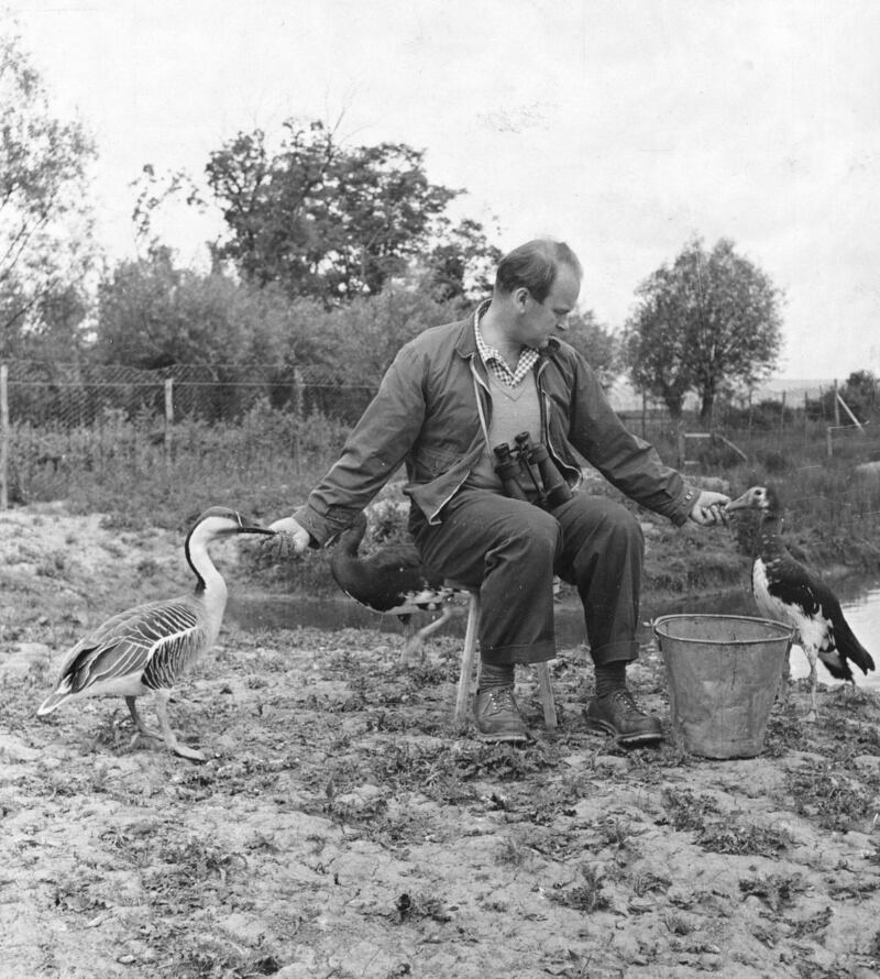 Sir Peter Scott, founder of both the World Wildlife Fund and the British Wildfowl and Wetlands Trust, was an avid hunter. Photograph: Hulton-Deutsch Collection/Corbis/Getty