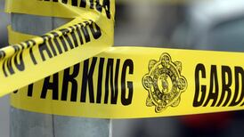 Man (53) dies in road crash near Tralee, Co Kerry