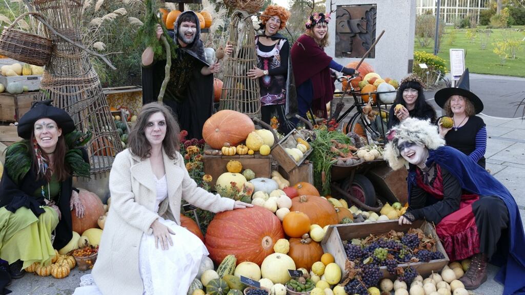 Orange you looking forward to the Botanic Gardens’ Halloween Harvest Display?