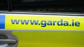 Seized guns ready to be used for gang murder, gardaí believe