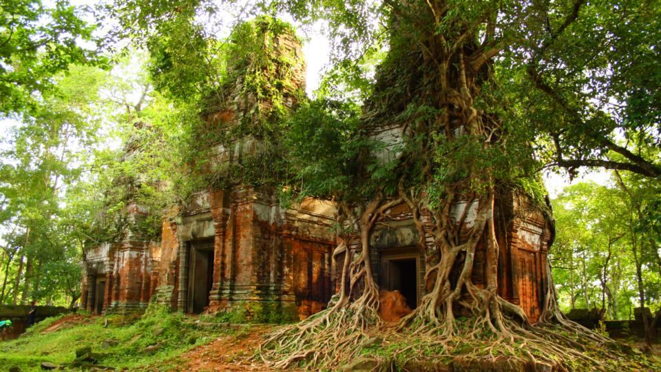 Photograph: Mark Sinnott