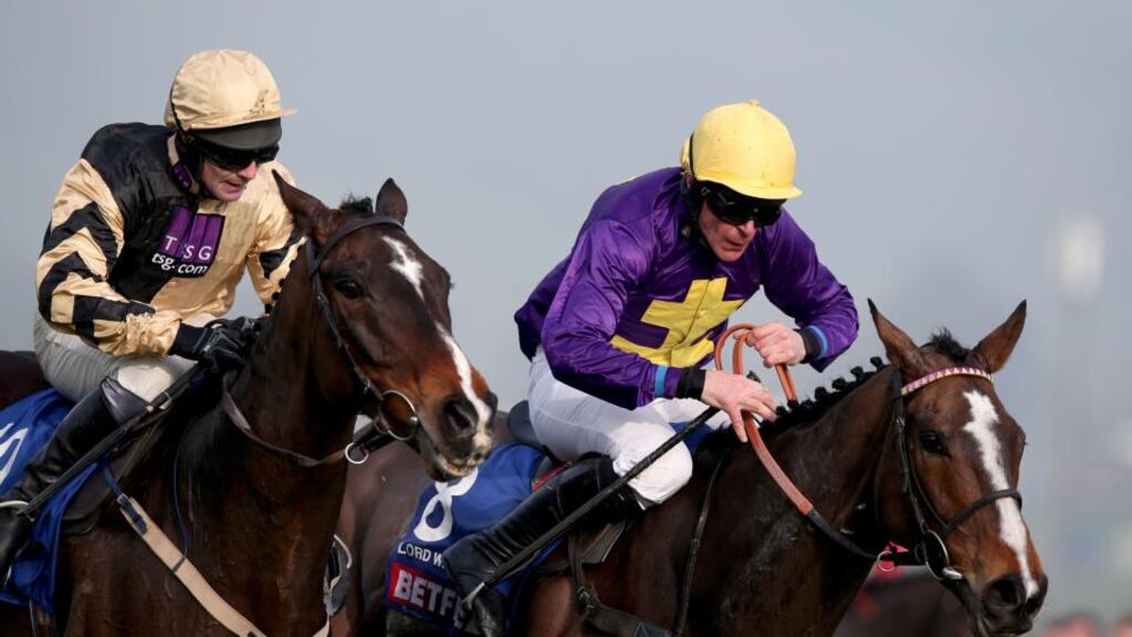 On His Own was bettered by Lord Windermere in the 2014 Cheltenham Gold Cup. Photograph: Dan Sheridan/Inpho.