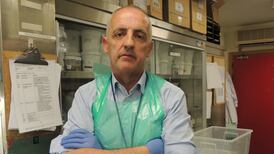 Hospital consultants call for widening of spinal surgeries review at Temple Street