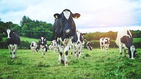 The Irish Times view on cutting agricultural emissions: a blueprint is needed