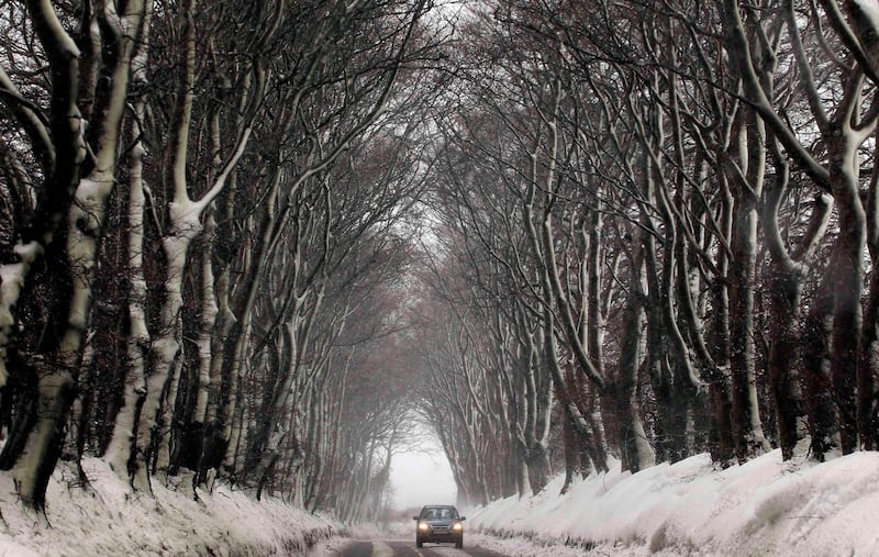 A motorist drives past snow covered trees near Dundrod in Co Antrim today. Photograph: Cathal McNaughton/Reuters