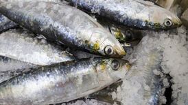 Omega 3 fatty acids in seafood linked to healthy ageing