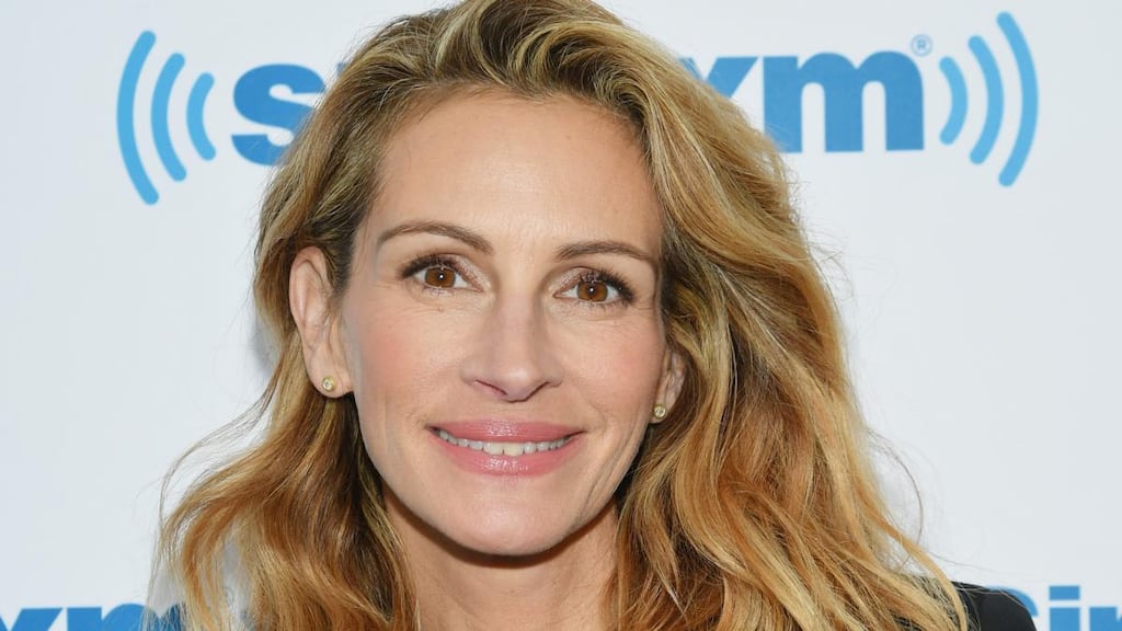 Julia Roberts: a Hollywood substudio head proposed the actor play Harriet Tubman. Photograph: Mike Coppola/Getty