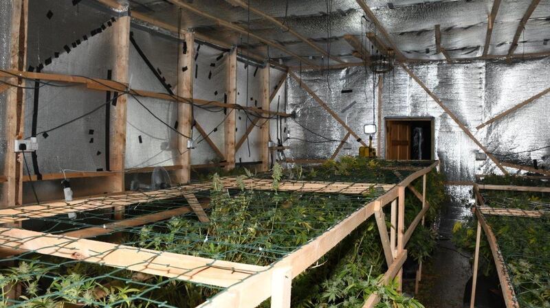 Gardaí discovered a grow house during a search operation in Co Donegal on Friday morning. Photograph: An Garda Síochána