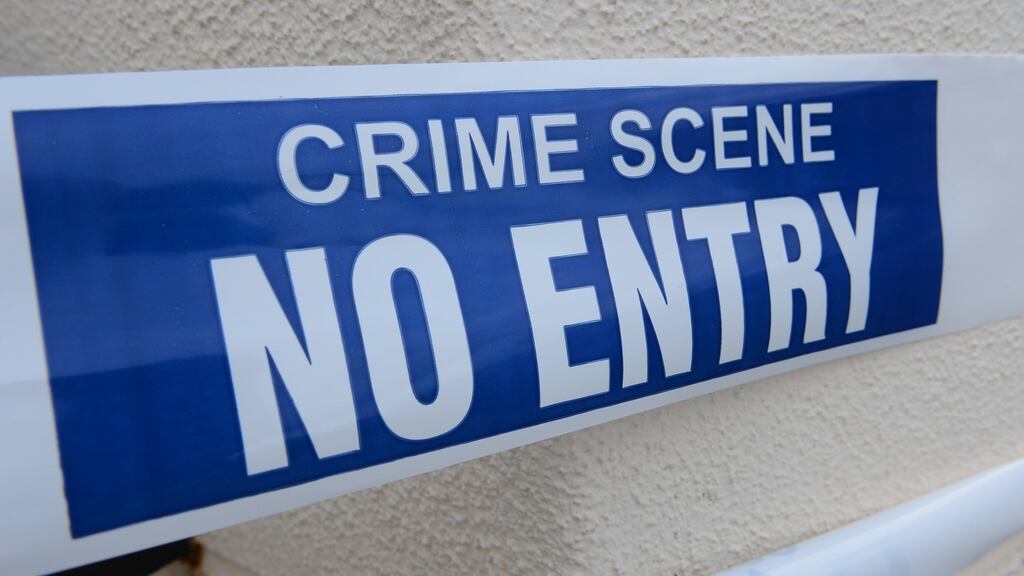 Nearly four out of 10 households that experienced crime never reported it to gardaí. Photograph: The Irish Times