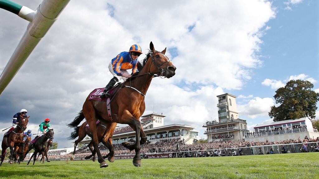 Found takes on rival Almanzor at Ascot on Saturday. Photograph: EPA