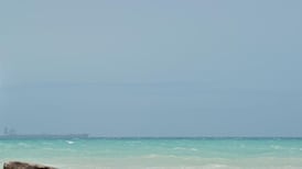 Why real estate investors should follow global population trends