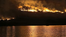 Dense rhododendron prevented Torc fire from spreading