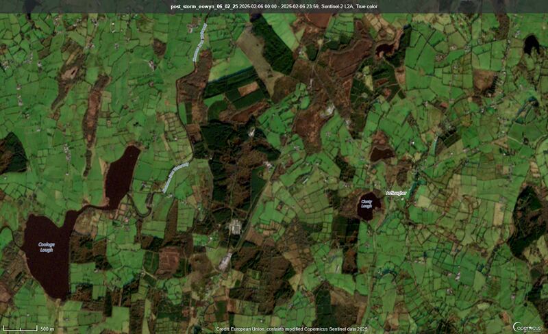 This image shows the extent of damage in the same area. The dun-coloured areas are where trees have fallen. Image: Department of Agriculture