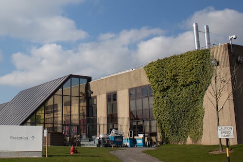 Ireland’s top 1,000 companies: Apple remains out in front with €205bn in revenue