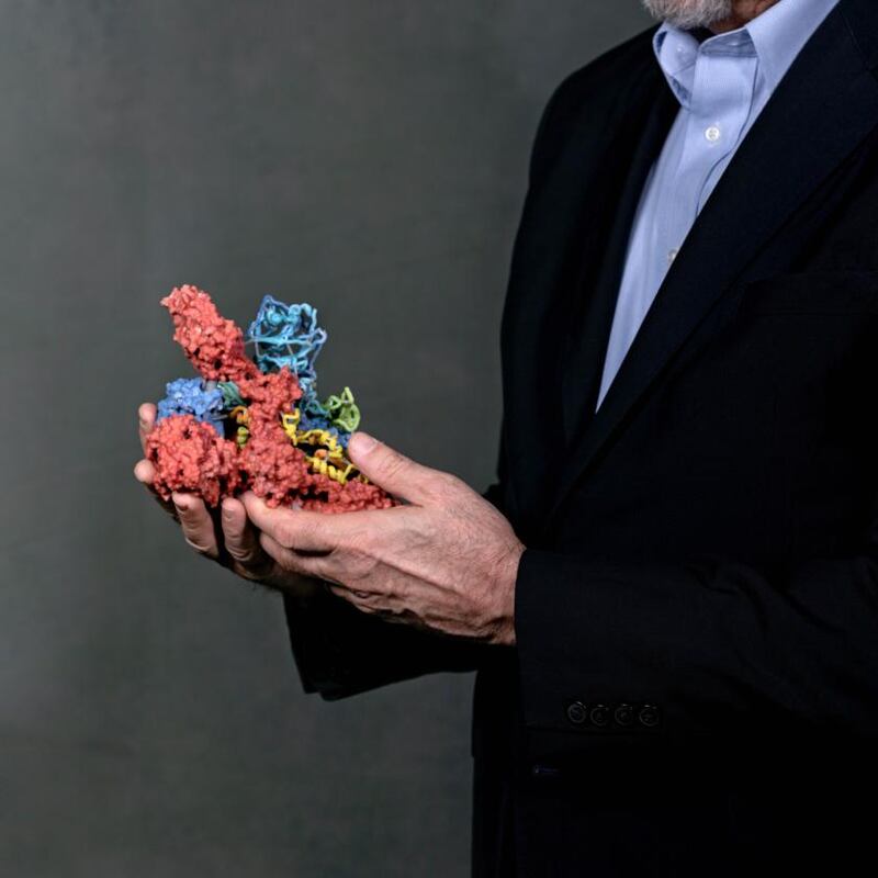 Dr Barney Graham holds a model of a coronavirus spike protein. Photograph: Johnathon Kelso/The New York Times