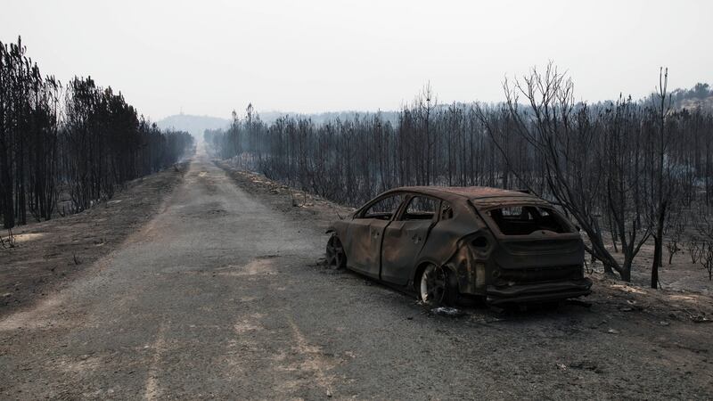 A burnt-out car in the middle of a forest destroyed by a wildfire in Vieira de Leiria, Marinha Grande, Portugal. Photograph:  Paulo Cunha/EPA