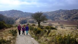 Killarney National Park fire started deliberately, officials say