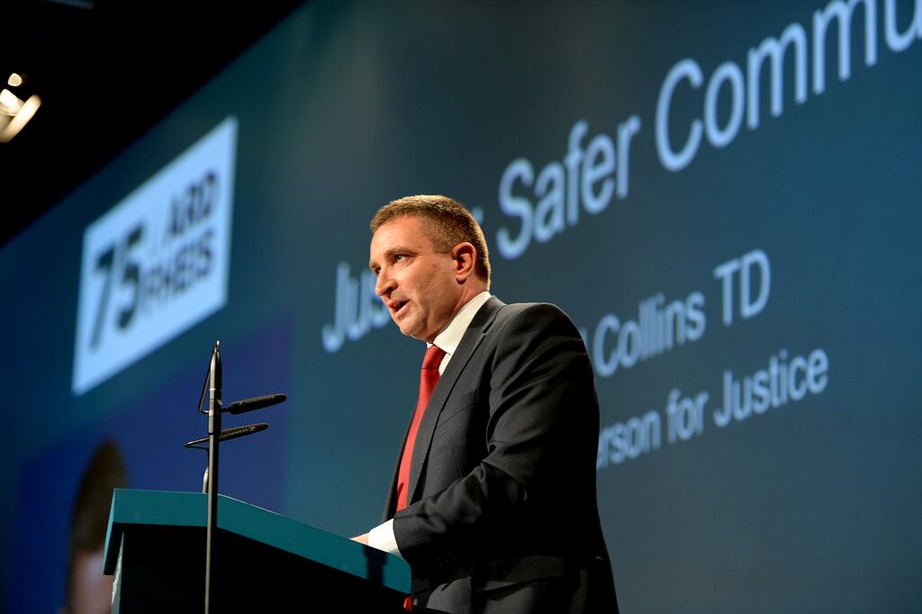 Niall Collins said he owns only half his own family home. Photograph: Cyril Byrne / The Irish Times
