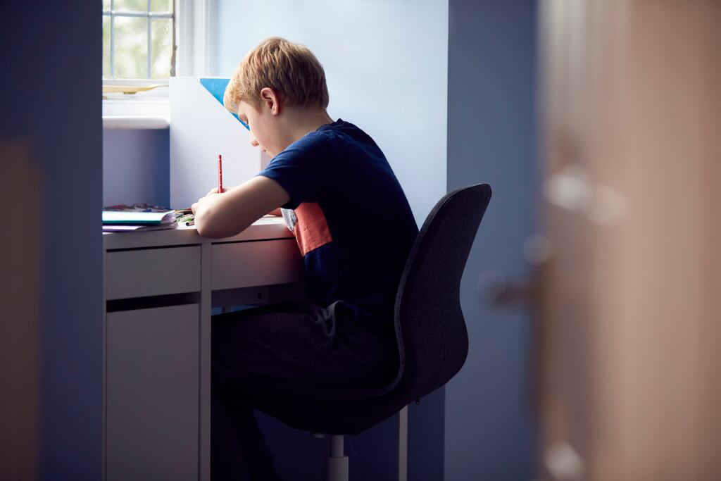 Dr Selina McCoy said homeschooling in general is not something the ESRI has looked at, but the topic arose during the Covid-19 school closures. Photograph: iStock