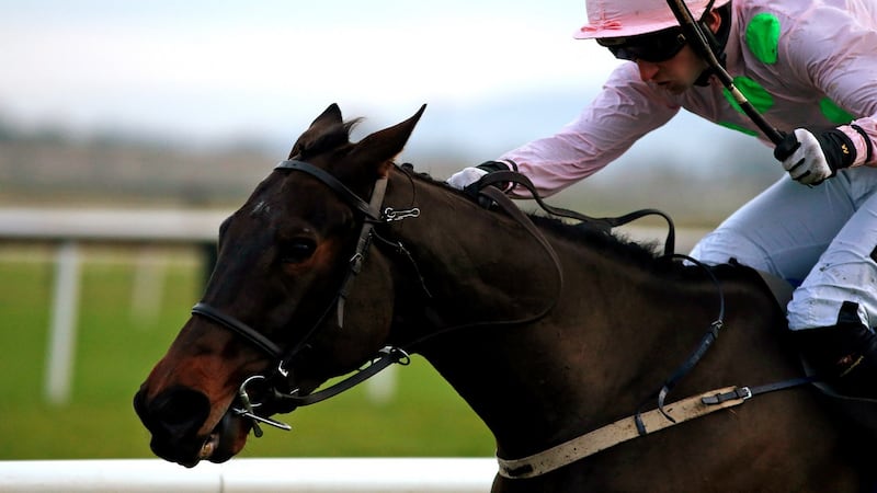 Getabird is a warm favourite for Tuesday’s curtain-raising Supreme. Photograph: Alan Crowhurst/Getty