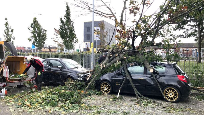 A tree which fell onto a car in Belfast during Storm Ali. Photograph: PA