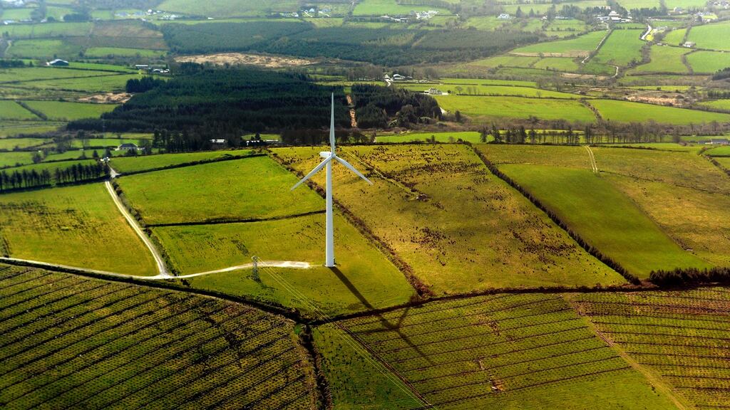 It was claimed the wind farm would result in the permanent and irrevocable loss of the habitat of the hen harrier. Photograph: David Sleator/The Irish Times