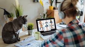 Steps boldly taken towards a ‘new normal’ in office working